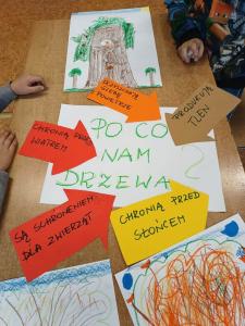 Dzień drzewa 2024