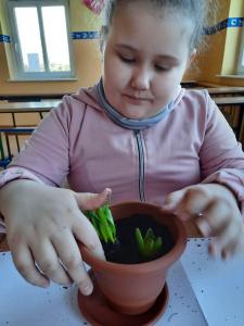 Przygotowania do wiosny