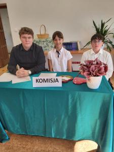 Wybory Samorządu Uczniowskiego 2024