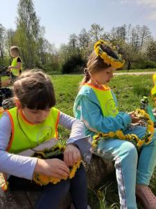 Wyjście do lasu