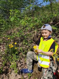 Wyjście do lasu