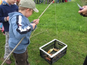 ziemniak 2008 023