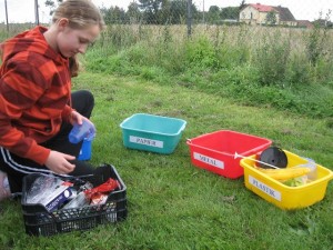 ziemniak 2008 026