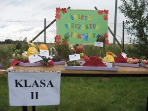 ziemniak 2008 038