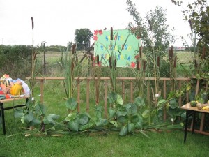 ziemniak 2008 042