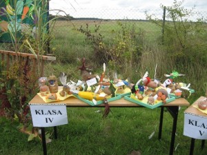 ziemniak 2008 043