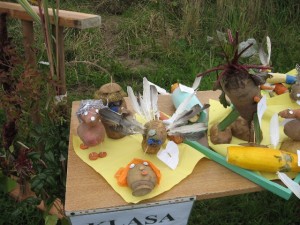 ziemniak 2008 044