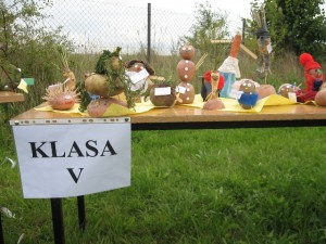 ziemniak 2008 045 