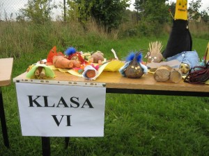 ziemniak 2008 047 