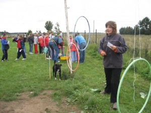 ziemniak 2008 052 