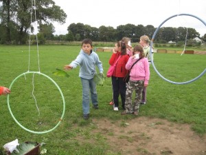 ziemniak 2008 053 
