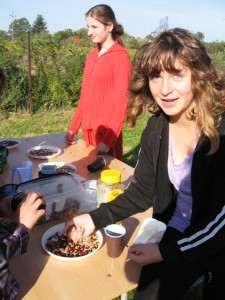 Obraz 16